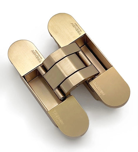 Concealed Hinge Gold