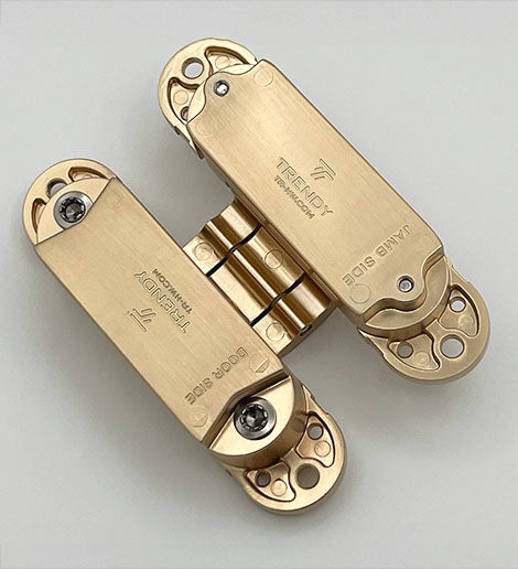 Concealed Hinge Gold