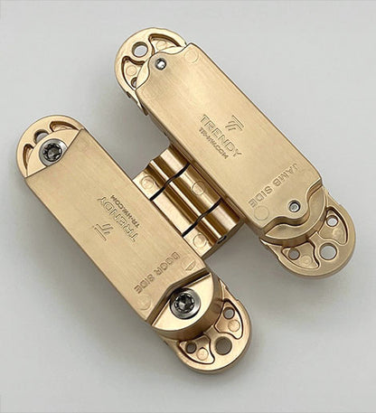 Concealed Hinge Gold